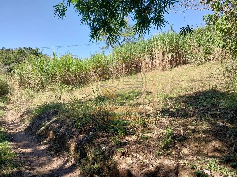 Fazenda - Foto 1