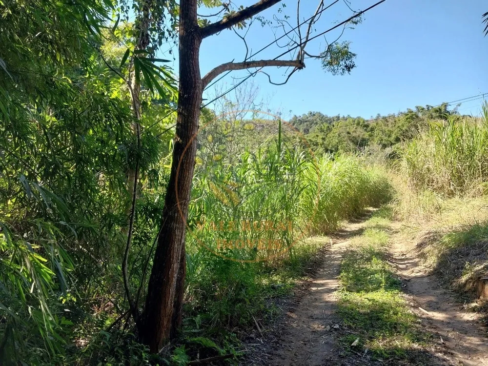 Fazenda - Foto 3