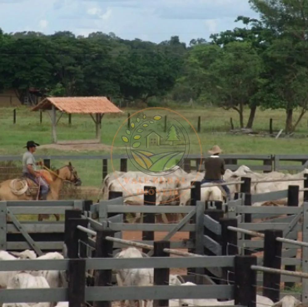 Fazenda, 2 quartos - Foto 3