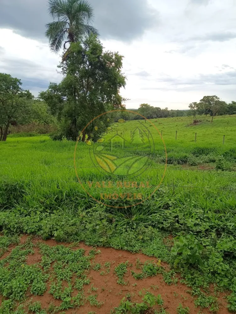 Fazenda - Foto 1