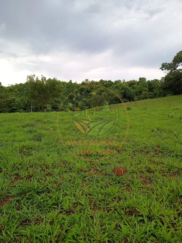 Fazenda - Foto 10
