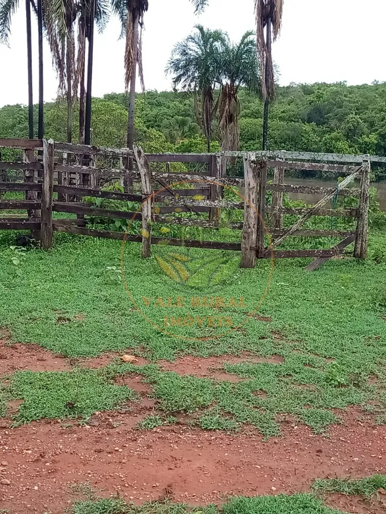 Fazenda - Foto 5