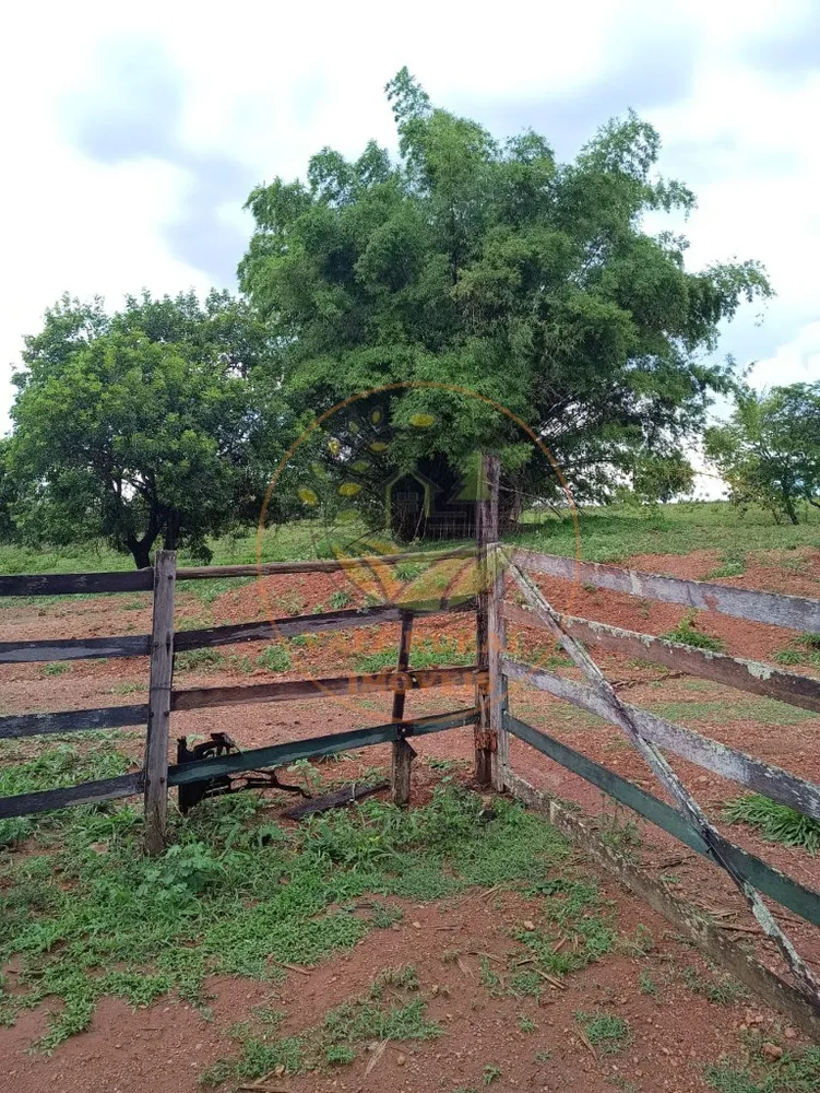 Fazenda - Foto 4