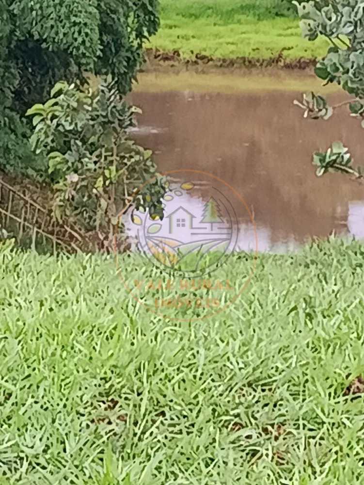 Fazenda - Foto 12