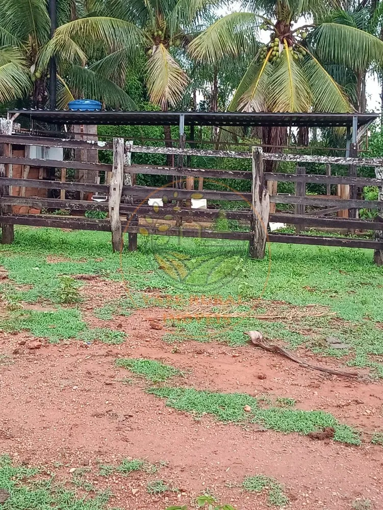 Fazenda - Foto 7