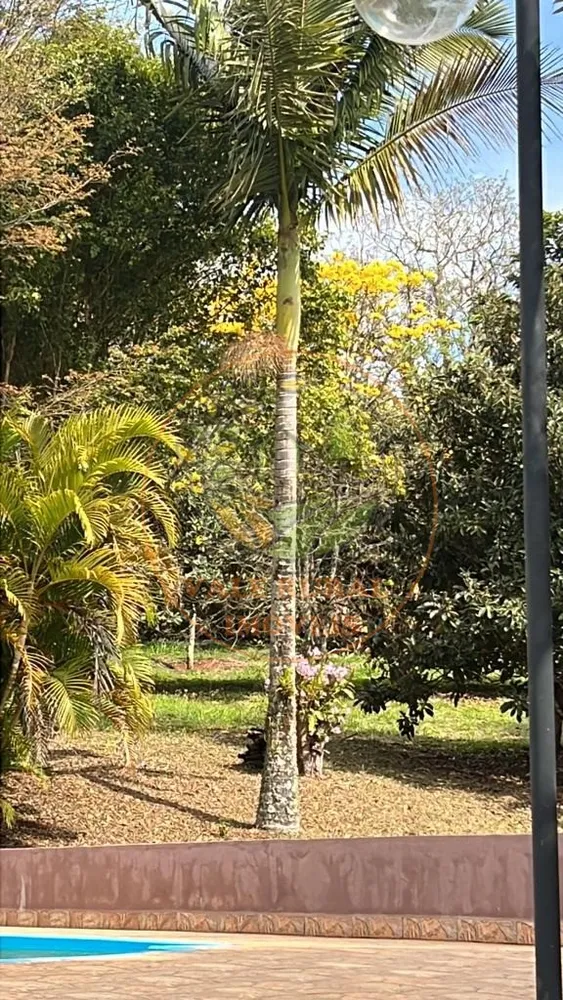 Chácara, 3 quartos, 10000 m² - Foto 2