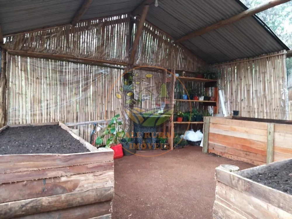 Chácara, 3 quartos, 10000 m² - Foto 5