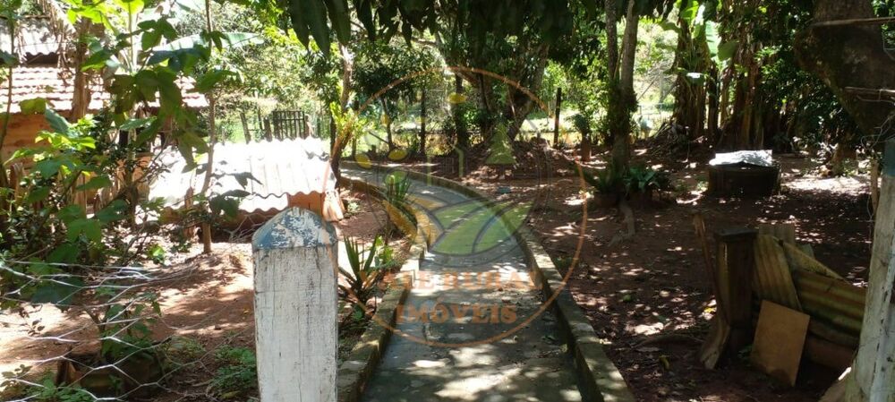 Chácara, 3 quartos, 5240 m² - Foto 4