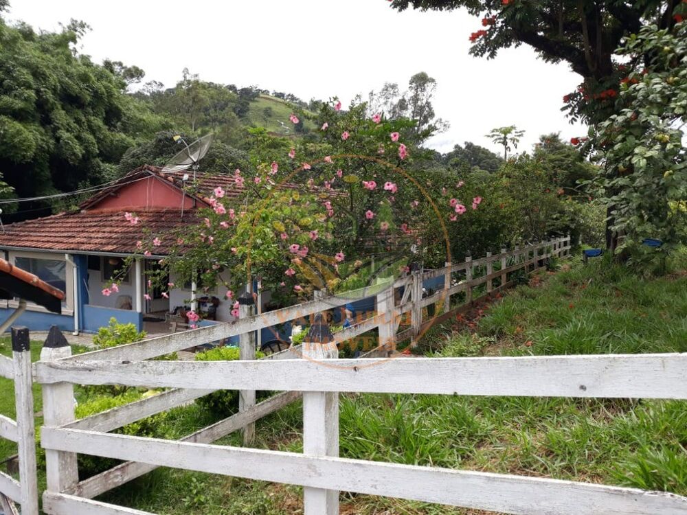 Chácara, 3 quartos, 5240 m² - Foto 3