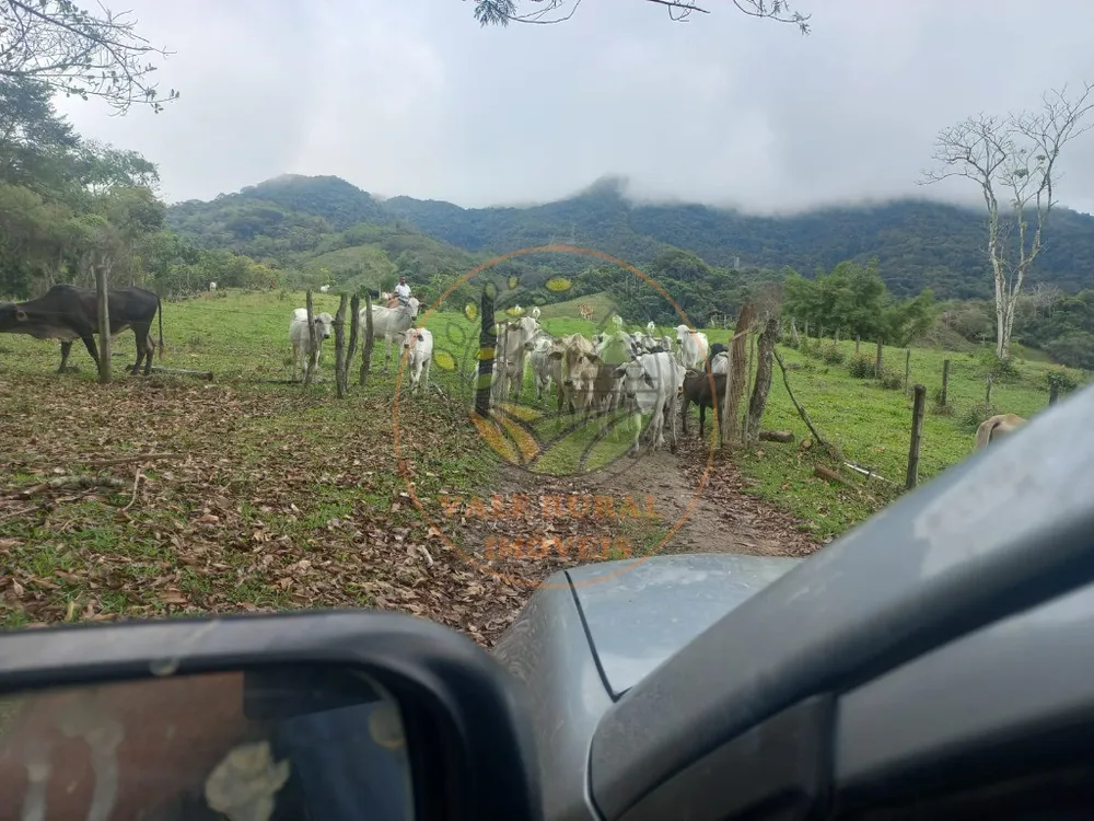 Fazenda - Foto 9