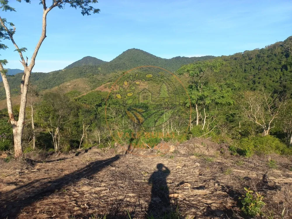Fazenda - Foto 4