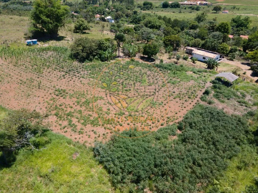 Sítio, 2 quartos, 2 hectares - Foto 4
