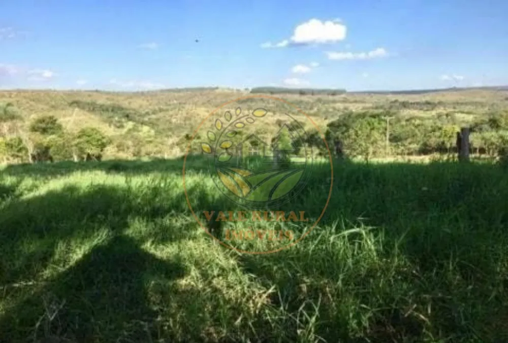 Fazenda, 4 quartos - Foto 9