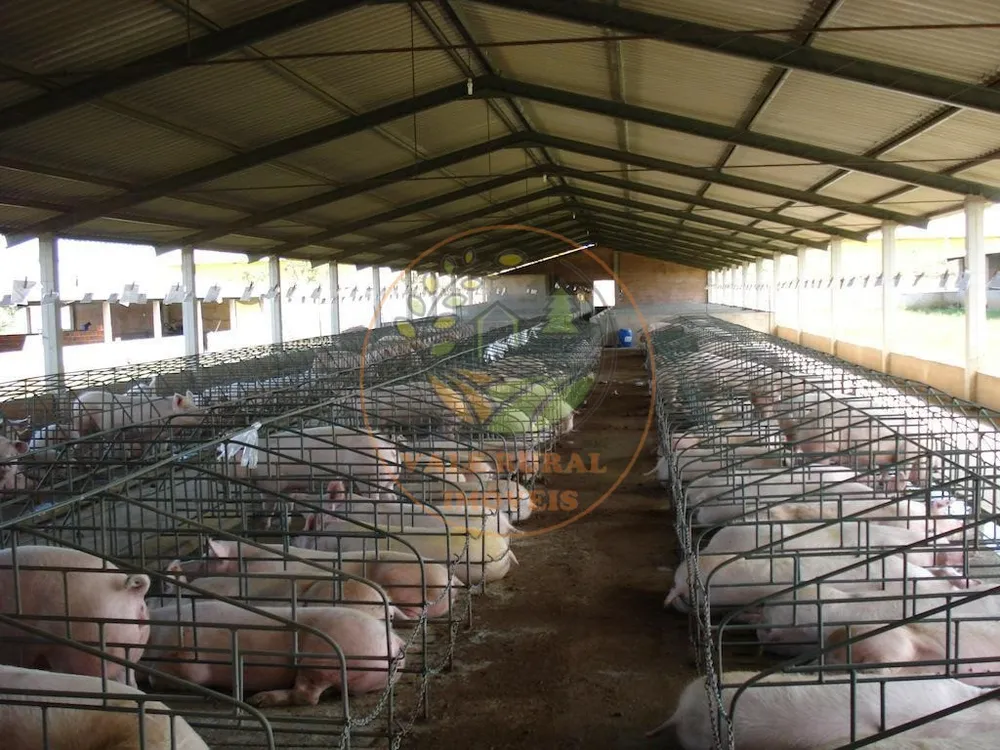 Fazenda, 4 quartos - Foto 1