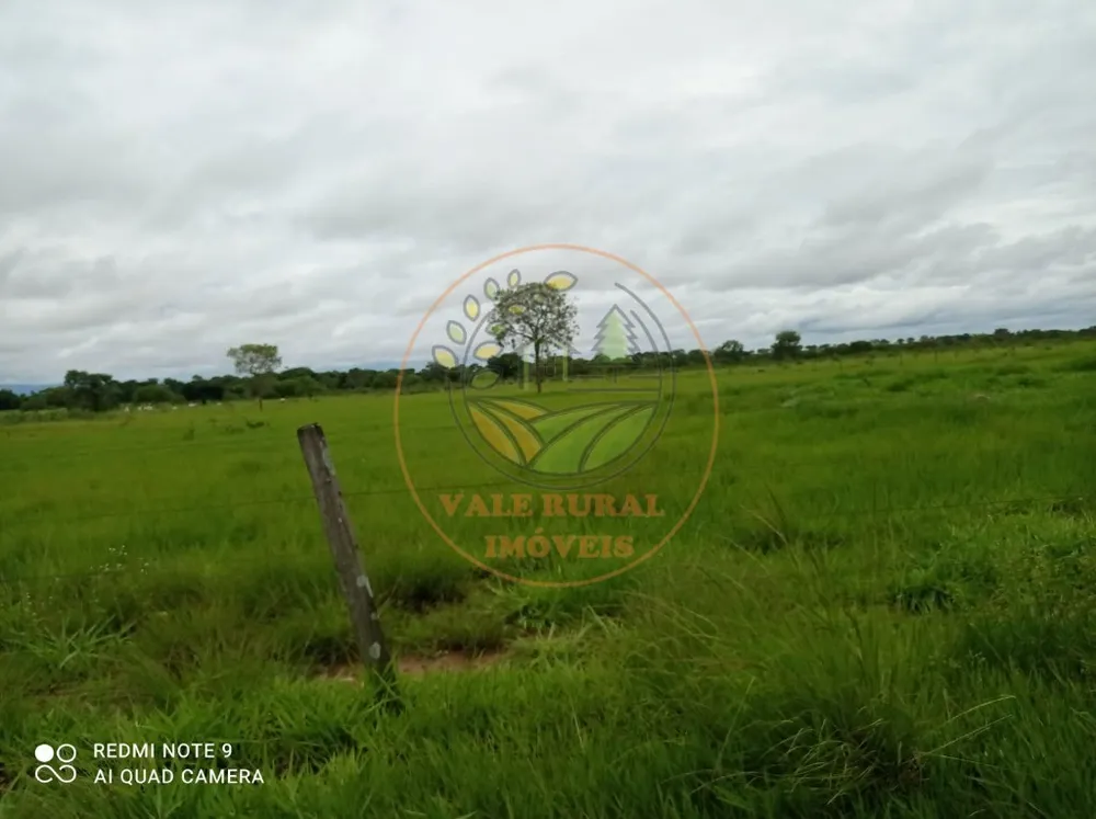 Fazenda, 5 quartos - Foto 7