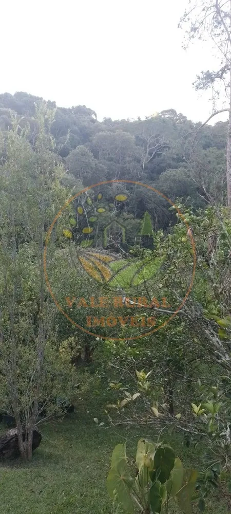 Chácara, 3 quartos - Foto 1