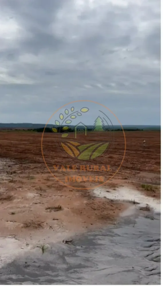 Fazenda - Foto 5