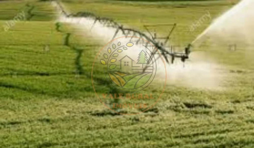 Fazenda - Foto 9