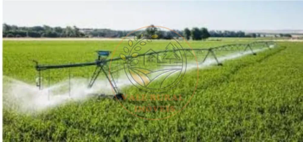 Fazenda - Foto 10