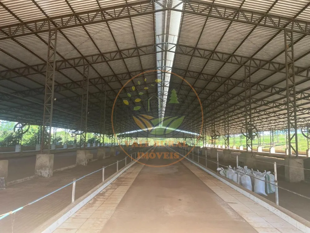 Fazenda, 3 quartos - Foto 5