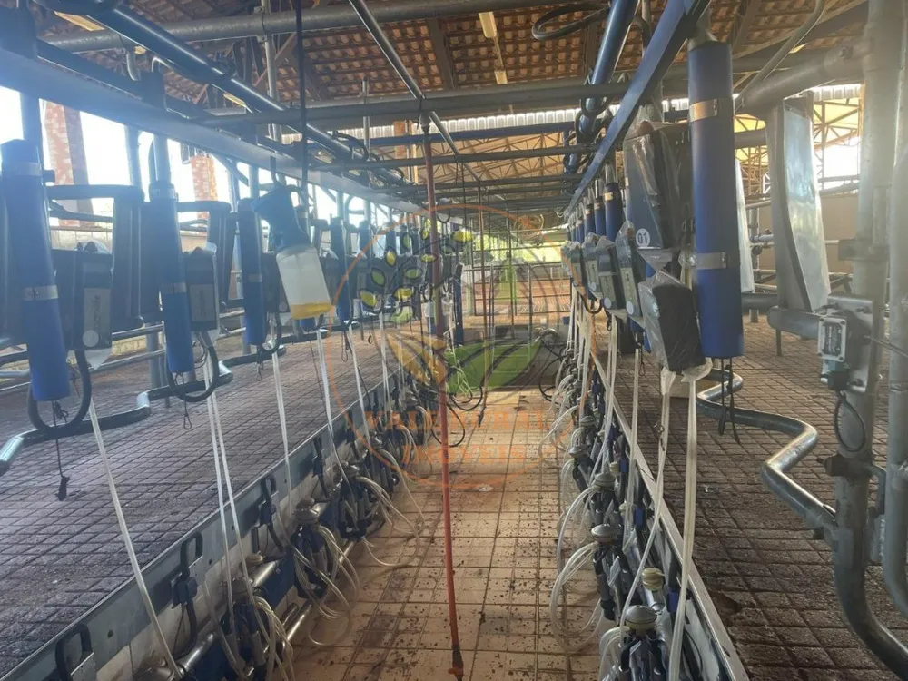 Fazenda, 3 quartos - Foto 10
