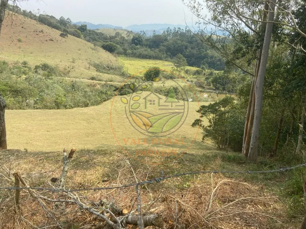 Sítio, 2 quartos, 43200 m² - Foto 4