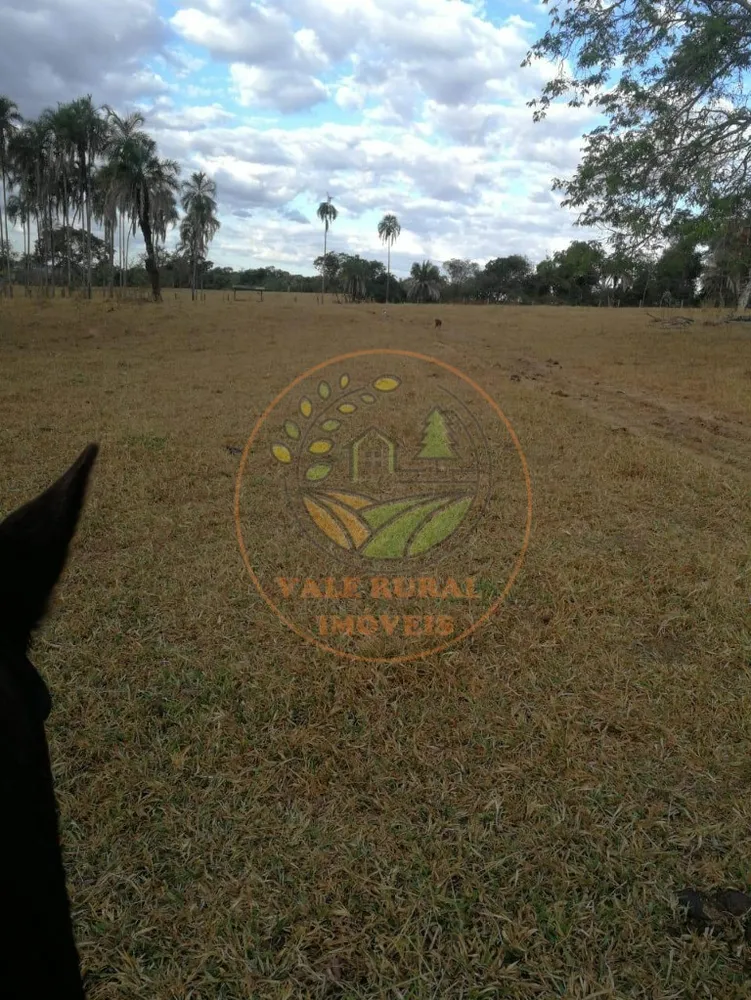 Fazenda - Foto 2