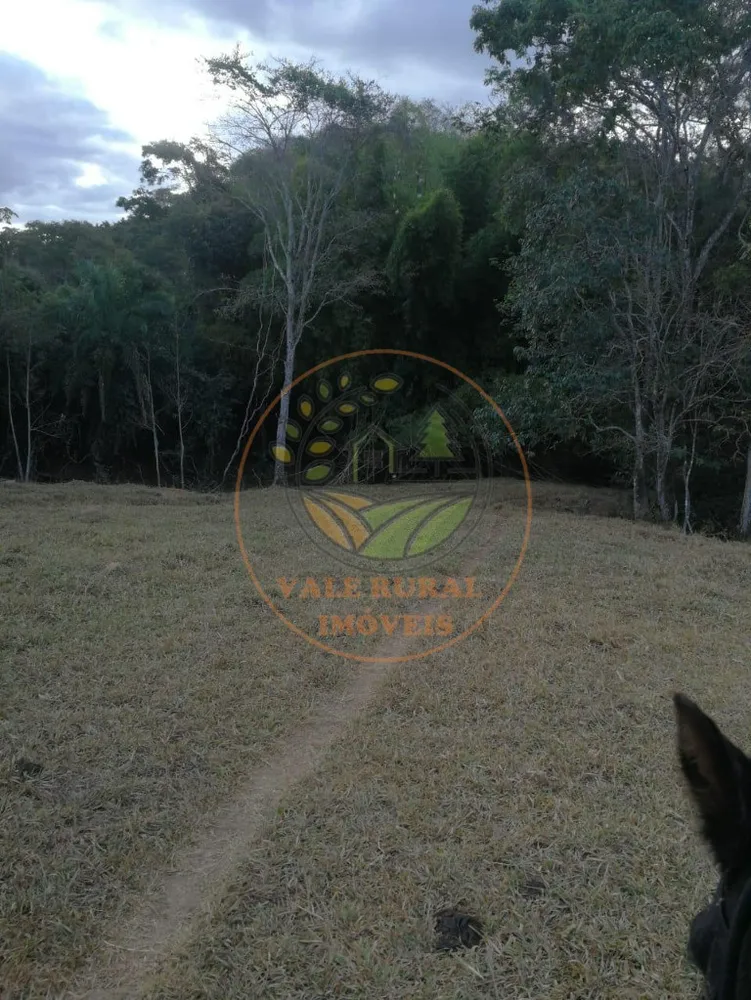 Fazenda - Foto 4