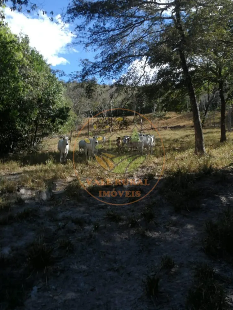 Fazenda - Foto 3