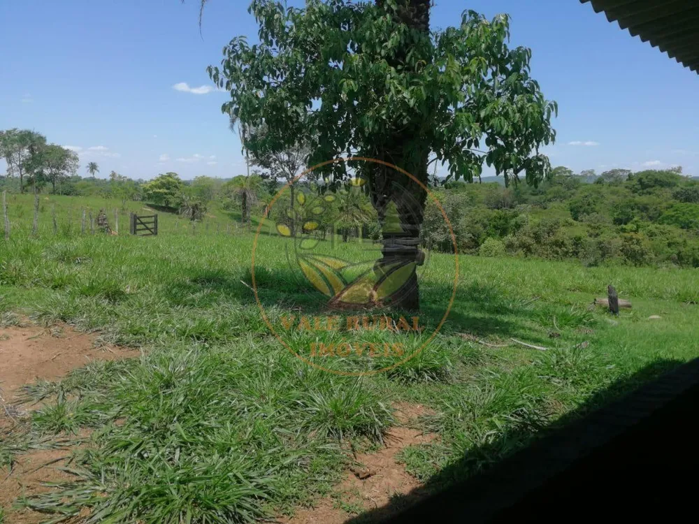 Fazenda - Foto 7