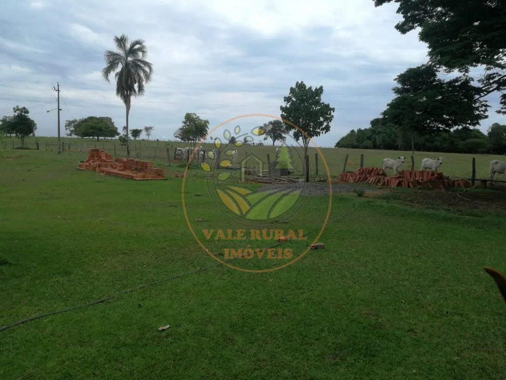 Fazenda - Foto 6