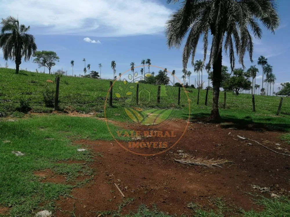 Fazenda - Foto 1