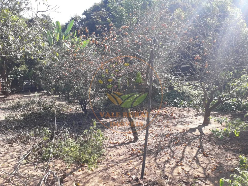 Chácara, 3 quartos, 3200 m² - Foto 4