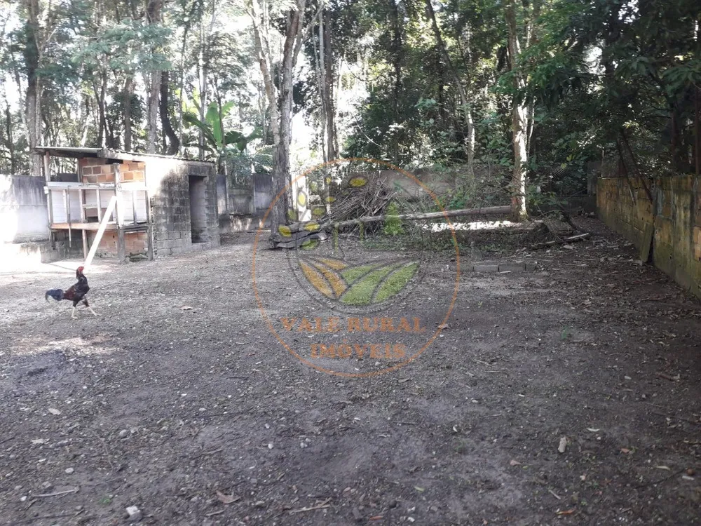 Chácara, 3 quartos, 3200 m² - Foto 3