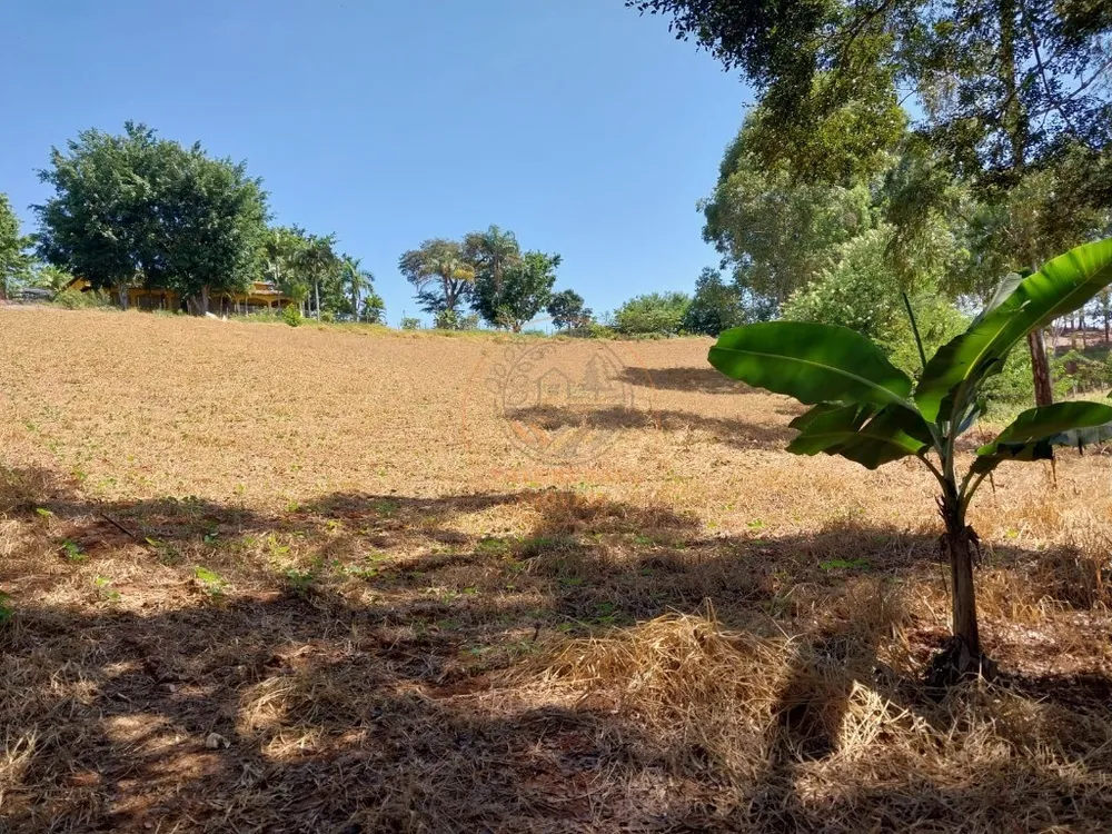 Chácara, 3 quartos, 1 hectares - Foto 4