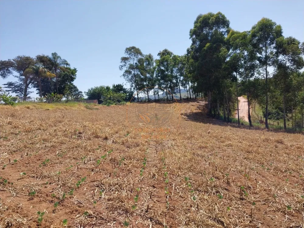 Chácara, 3 quartos, 1 hectares - Foto 6