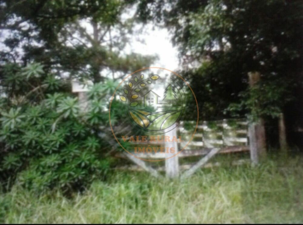 Haras e Área Rural Padrão à venda - Foto 4