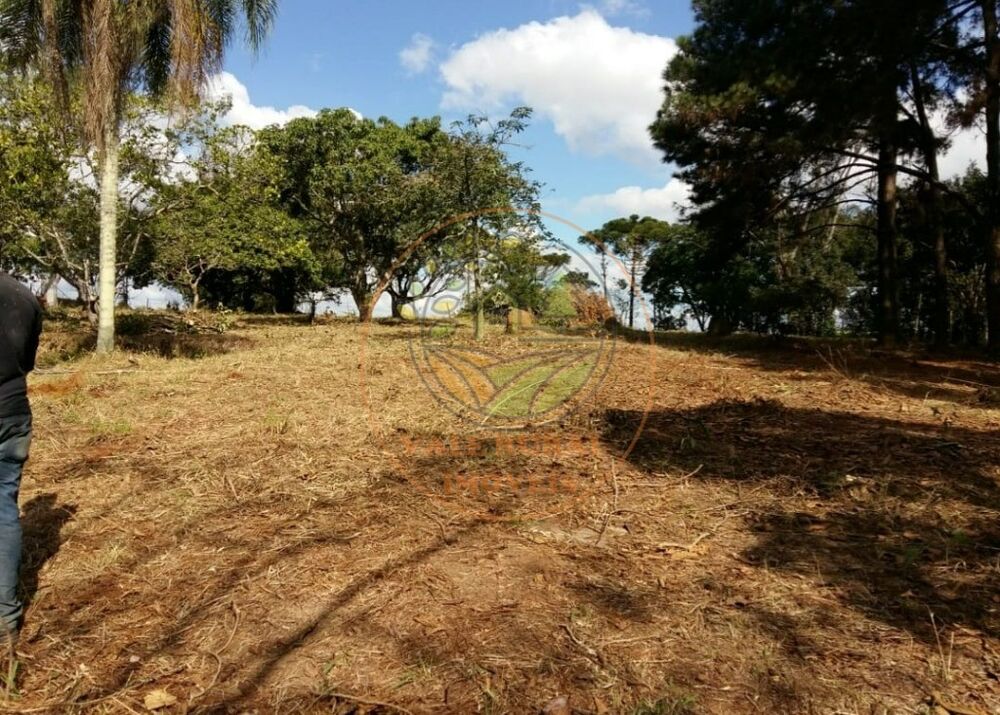 Haras e Área Rural Padrão à venda - Foto 3
