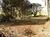 Fazenda-Sítio-Chácara - Foto 2