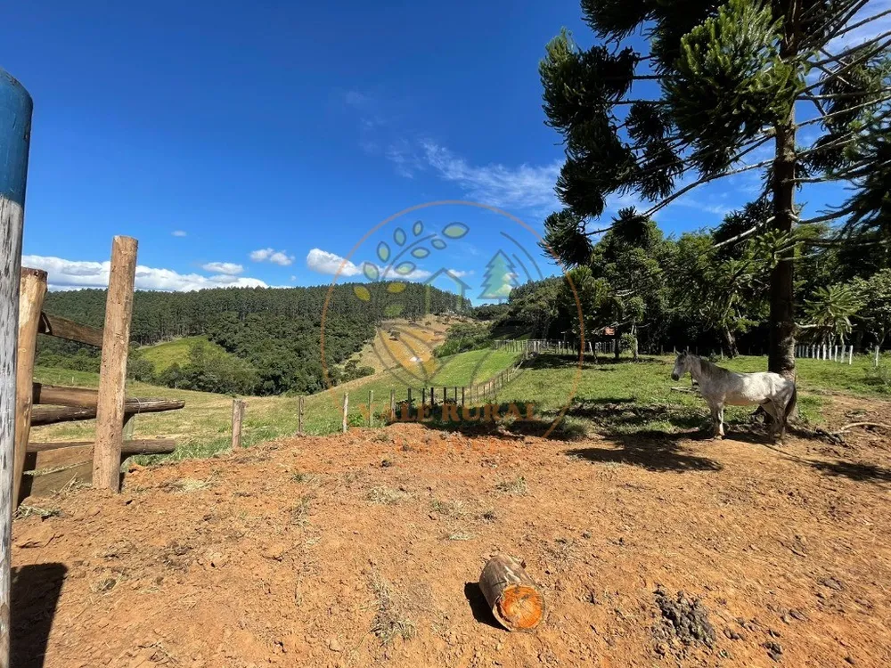 Fazenda, 1 quarto - Foto 10