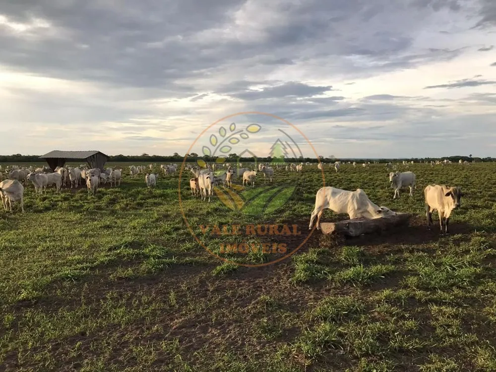 Fazenda, 3 quartos - Foto 8