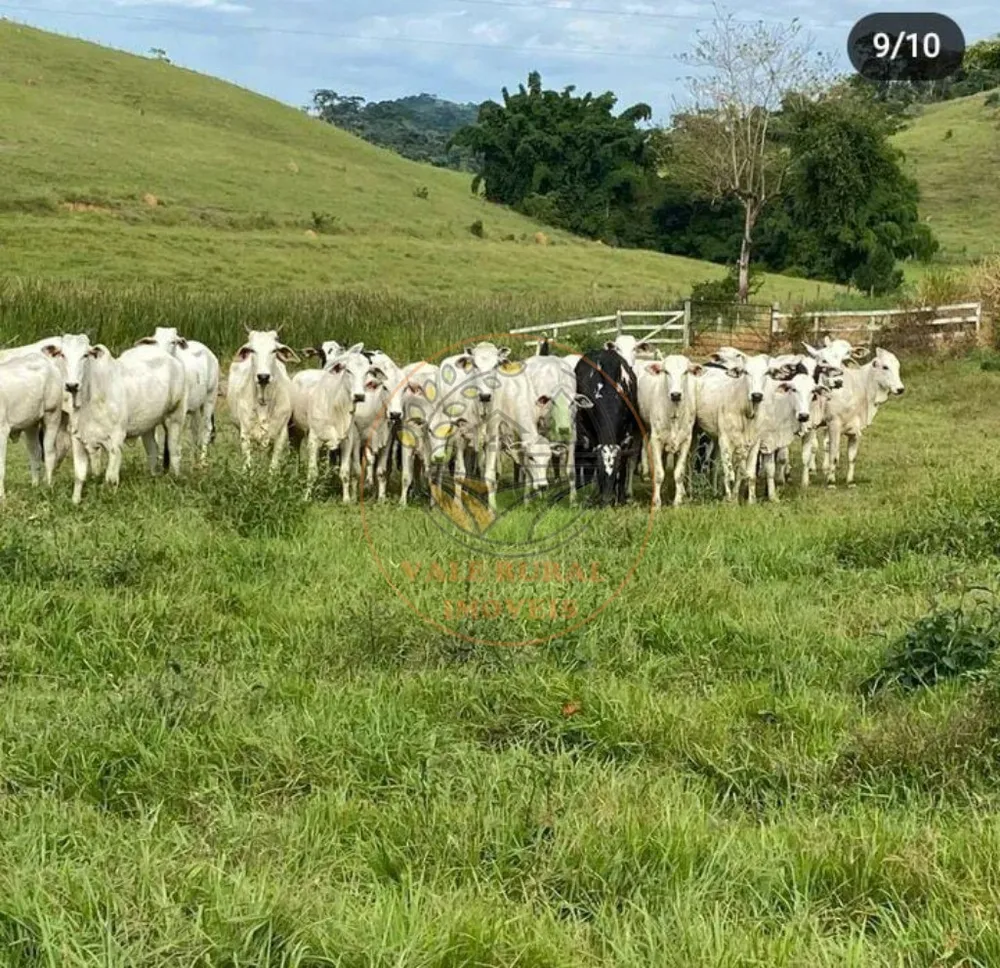 Fazenda, 4 quartos - Foto 2