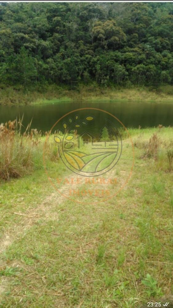 Chácara, 2 quartos, 8000 m² - Foto 13