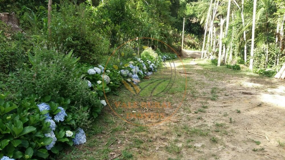 Chácara, 2 quartos, 8000 m² - Foto 15