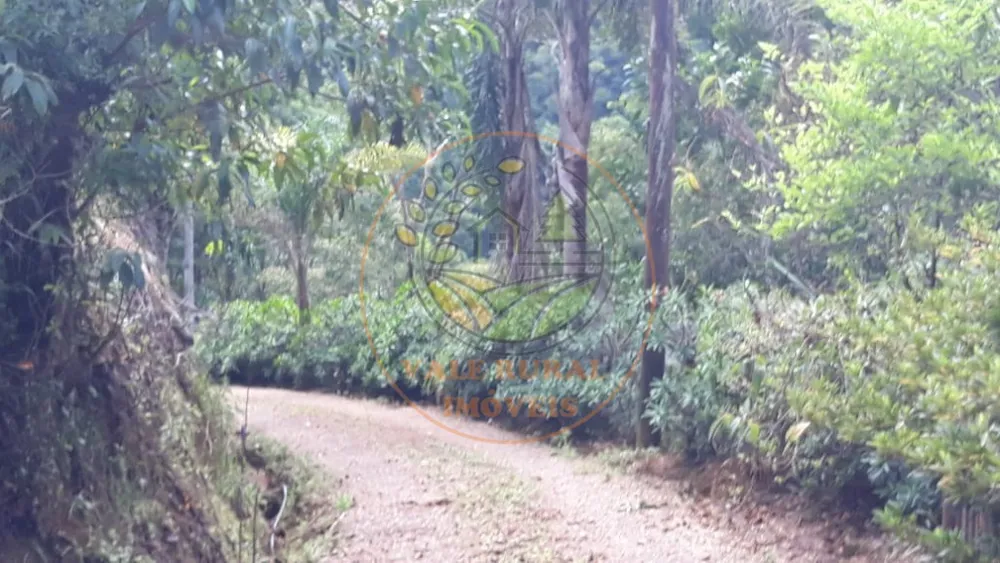 Fazenda - Foto 1