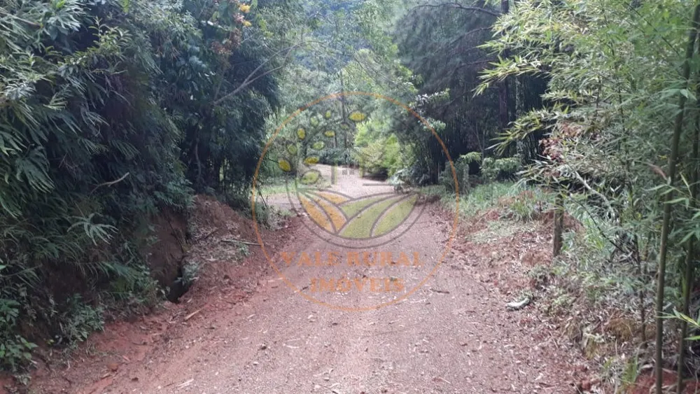 Fazenda - Foto 7