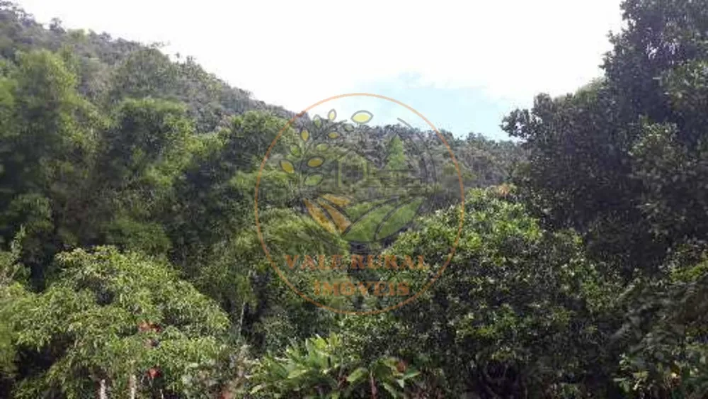 Fazenda - Foto 6
