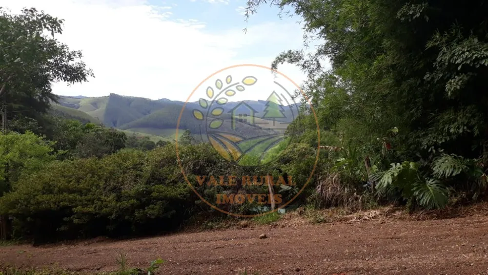 Fazenda - Foto 5