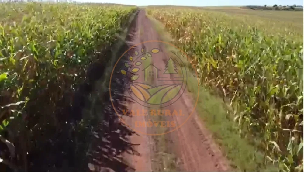 Fazenda, 4 quartos - Foto 5