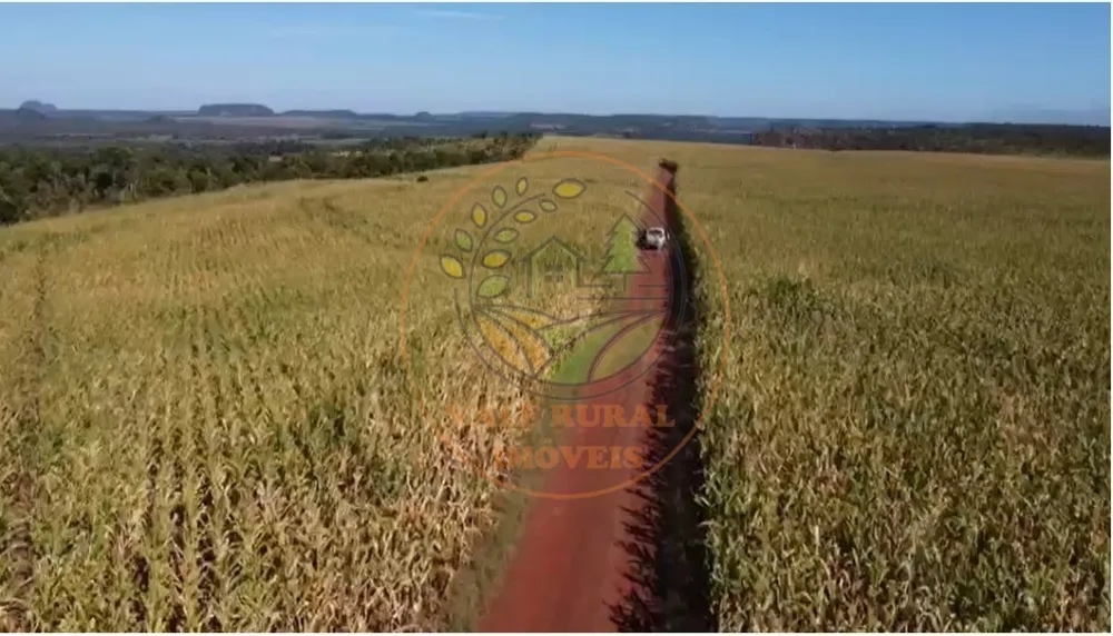 Fazenda, 4 quartos - Foto 7